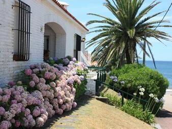https://web5.gallito.com.uy/zona-faro-con-vista-franca-al-mar-producto-inmuebles-24988300