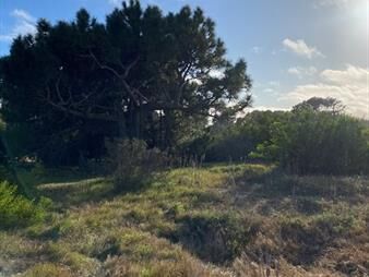 https://www.gallito.com.uy/terreno-en-venta-–-arenas-de-jose-ignacio-inmuebles-27674197