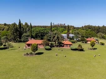 https://www.gallito.com.uy/venta-campo-60h-casco-y-galpones-en-fray-bentos-inmuebles-27370151