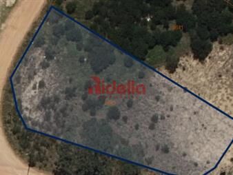 https://web5.gallito.com.uy/venta-lote-esquinero-en-club-del-lago-punta-inmuebles-27674284