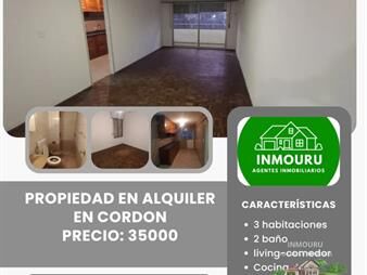 https://web5.gallito.com.uy/alquilo-amplio-apto-en-cordon-inmuebles-27674586