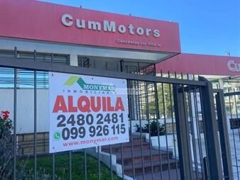 https://web5.gallito.com.uy/alquiler-local-comercial-galpon-deposito-avenida-italia-pas-inmuebles-26636745