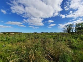 https://www.gallito.com.uy/terreno-de-776m2-en-venta-en-pando-inmuebles-24245675
