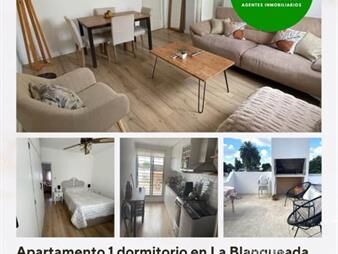 https://web5.gallito.com.uy/alquiler-de-apartamento-1-dormitorio-en-la-inmuebles-27675196
