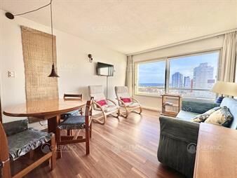 https://web5.gallito.com.uy/apartamento-en-peninsula-1-dormitorios-inmuebles-20730894