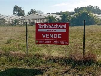 https://web5.gallito.com.uy/terreno-en-colonia-valdense-lote-4-inmuebles-27670370