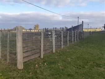 https://www.gallito.com.uy/campo-10-has-4336-m2-en-corte-la-leña-inmuebles-27392689