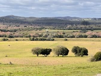 https://web5.gallito.com.uy/campo-57-has-agricola-ganadero-cerca-de-minas-inmuebles-25703623