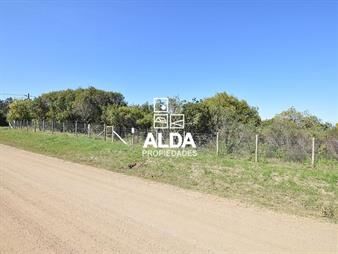 https://web5.gallito.com.uy/terreno-en-punta-negra-ref-te201768-inmuebles-20369760