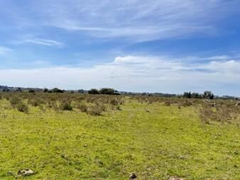 https://web5.gallito.com.uy/10-chacras-bien-ubicadas-cerca-de-ruta-9-y-camino-inmuebles-27679616