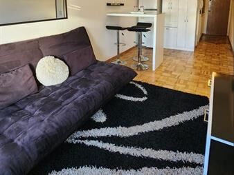 https://web5.gallito.com.uy/alquiler-monoambiente-tres-cruces-amoblado-inmuebles-27383538