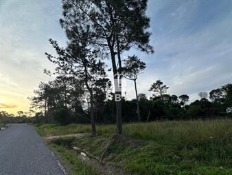https://web5.gallito.com.uy/terreno-en-ocean-park-ref-pbi2920-inmuebles-27161783
