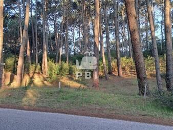 https://www.gallito.com.uy/venta-de-lote-en-club-del-lago-ref-pbi2842-inmuebles-23066149