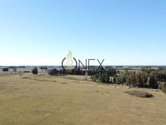 https://www.gallito.com.uy/venta-de-campo-con-casa-en-maldonado-abra-inmuebles-27549146