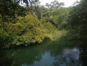 https://www.gallito.com.uy/se-vende-campo-en-cerro-largo-sobre-rio-tacuari-inmuebles-27687584