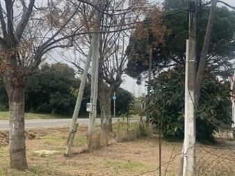 https://web5.gallito.com.uy/venta-casa-san-luis-2-casas-de-1-dormitorio-inmuebles-27272681