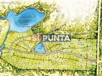 https://web5.gallito.com.uy/terrenos-laguna-escondida-jose-ignacio-inmuebles-27610397