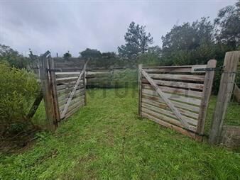 https://www.gallito.com.uy/terreno-533m²-inmuebles-26386450