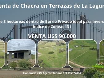 https://www.gallito.com.uy/venta-de-chacra-en-terrazas-de-la-laguna-inmuebles-27688260