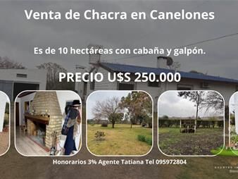https://www.gallito.com.uy/venta-de-chacra-en-canelones-inmuebles-27688656