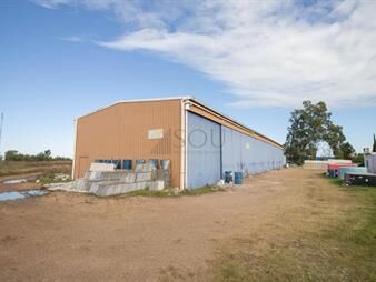 https://www.gallito.com.uy/venta-terreno-y-nave-en-ruta-101-con-muchos-extras-inmuebles-27261733