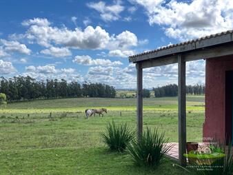 https://web5.gallito.com.uy/venta-de-chacra-81-hectãreas-en-camino-a-inmuebles-27691009