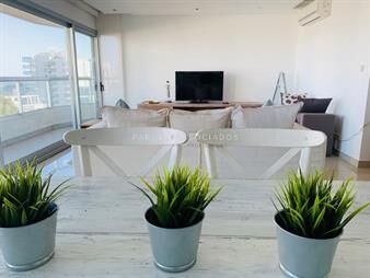 https://web5.gallito.com.uy/apartamento-en-venta-de-3-dormitorios-en-brava-inmuebles-18257727