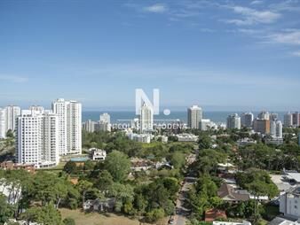 https://web5.gallito.com.uy/departamento-de-1-y-medio-dormitorios-en-venta-inmuebles-25041801