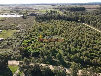 https://www.gallito.com.uy/chacra-en-venta-a-10-min-de-atlantida-sin-inmuebles-27387720