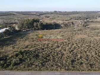 https://web5.gallito.com.uy/chacra-de-5-has-en-melilla-sobre-camino-ah-7323-inmuebles-25816972