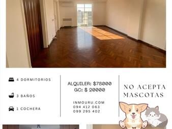 https://web5.gallito.com.uy/alquiler-de-apartamento-en-cordon-inmuebles-27695375