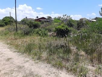 https://web5.gallito.com.uy/venta-terreno-en-punta-del-diablo-a-pocas-cuadras-de-la-pla-inmuebles-26172760