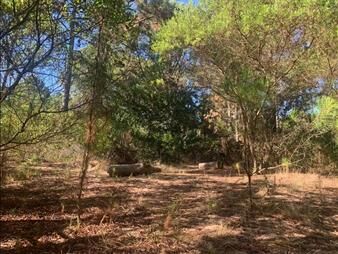 https://www.gallito.com.uy/terreno-en-club-del-lago-inmuebles-27548204