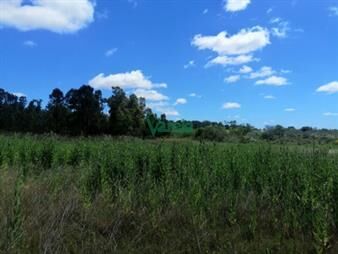 https://www.gallito.com.uy/venta-chacra-pando-villa-jardines-de-31250-inmuebles-27485038