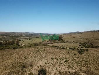 https://www.gallito.com.uy/campo-de-86-has-a-la-altura-del-km-58-ruta-39-inmuebles-27485046
