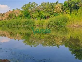 https://web5.gallito.com.uy/venta-de-campo-paso-del-sordo-florida-campo-de-inmuebles-27485057