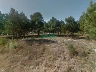 https://www.gallito.com.uy/venta-terrenos-solymar-entrega-s-200000-mas-inmuebles-27485010