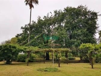 https://www.gallito.com.uy/chacra-en-venta-de-5-has-proxima-nueva-palmira-inmuebles-27485020