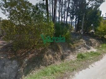 https://www.gallito.com.uy/terrenos-financiados-en-salinas-entrega-y-saldo-inmuebles-27485204