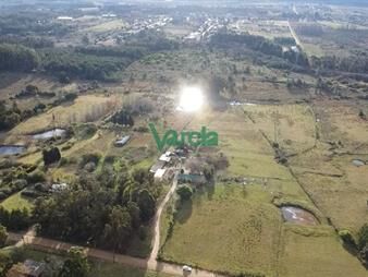 https://web5.gallito.com.uy/venta-chacra-65-has-montevideo-rural-proximo-del-inmuebles-27572932