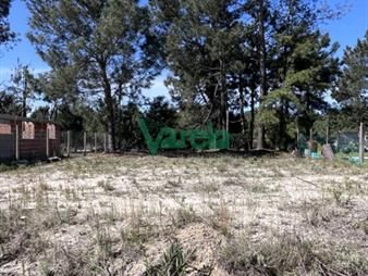 https://www.gallito.com.uy/terreno-en-venta-financiado-el-pinar-norte-inmuebles-27484835