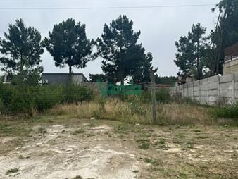 https://www.gallito.com.uy/terreno-entrega-contado-y-financiacion-inmuebles-27485172