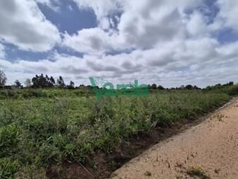 https://www.gallito.com.uy/venta-de-terrenos-en-barros-blancos-financiados-inmuebles-27485228