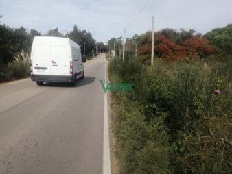 https://web5.gallito.com.uy/terreno-sobre-cno-los-horneros-frente-a-inmuebles-27484914