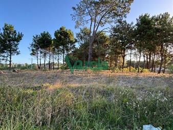 https://www.gallito.com.uy/terrenos-en-venta-financiados-ultimos-en-montes-inmuebles-27484873