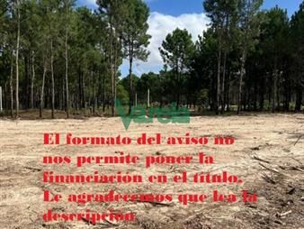 https://web5.gallito.com.uy/venta-terreno-solymarr-entrega-s-200000-mas-de-inmuebles-27485461