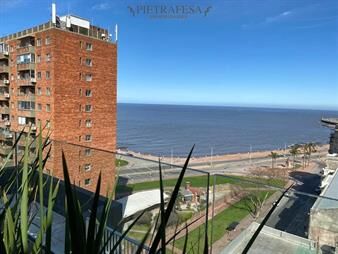https://web5.gallito.com.uy/apto-con-renta-1-dormitorio-1-baño-sur-inmuebles-26882319