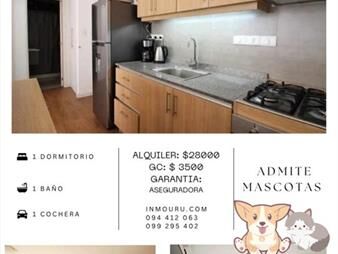https://web5.gallito.com.uy/alquiler-de-apartamento-en-la-blanqueada-inmuebles-27695724