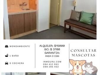https://web5.gallito.com.uy/alquiler-de-apartamento-en-cordon-sur-inmuebles-27695819