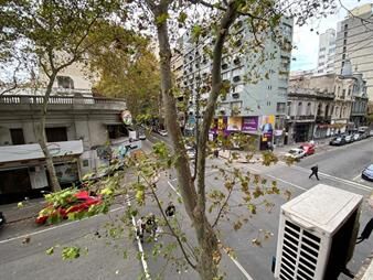 https://www.gallito.com.uy/venta-de-3-apartamentos-para-renta-u-oficinas-patio-propio-inmuebles-25603954